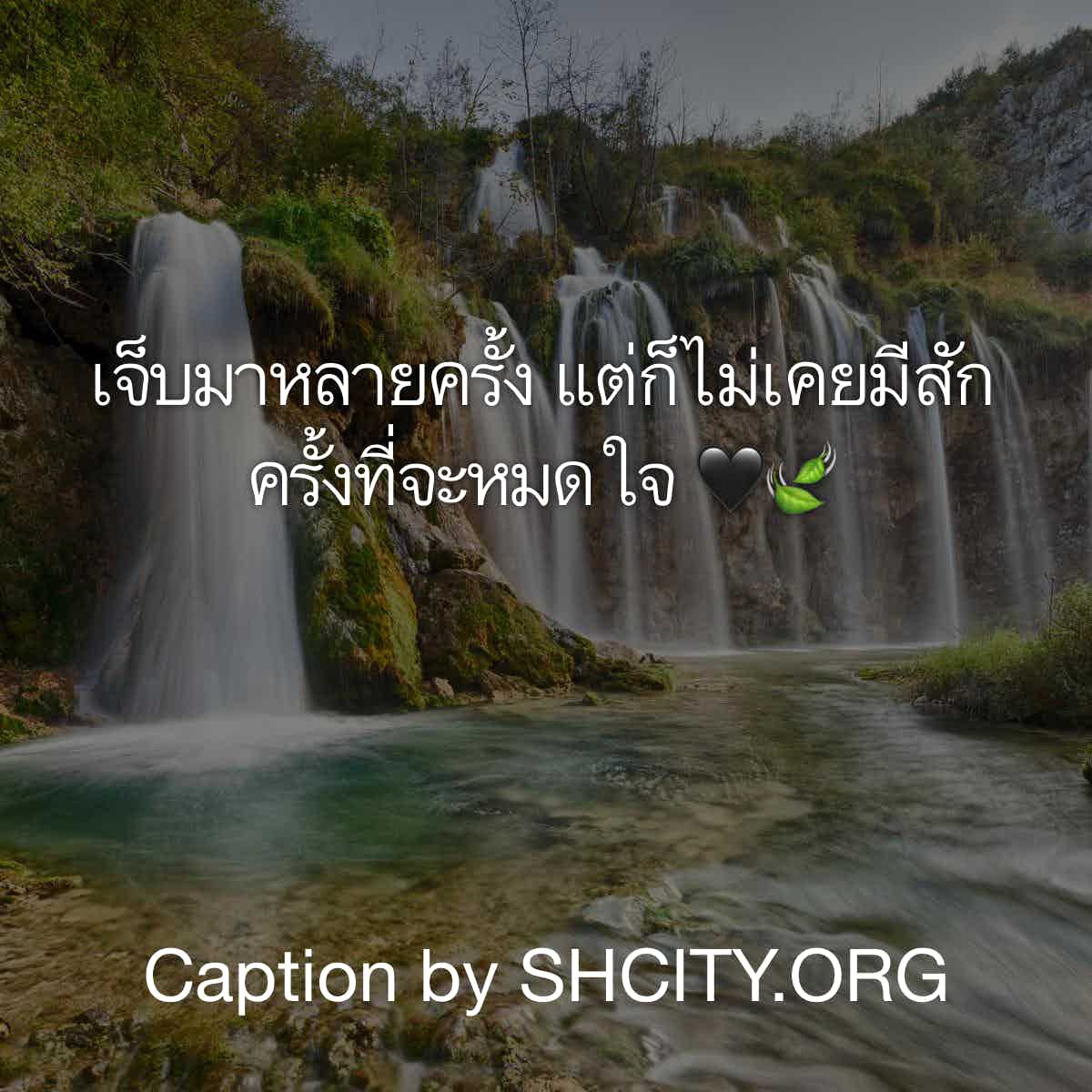 แคปชั่นจังไร