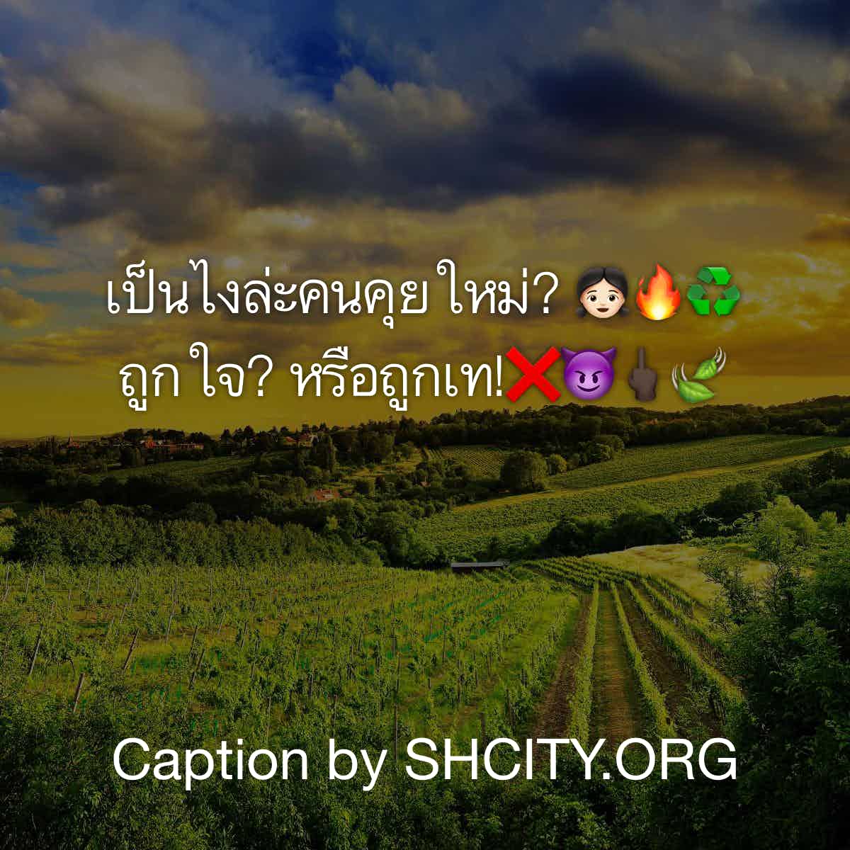 แคปชั่นเด็ด