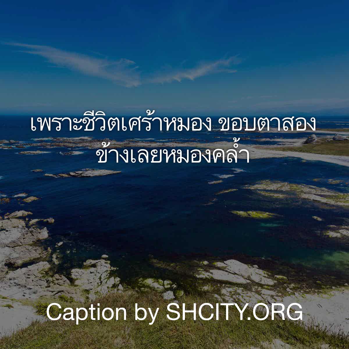 แคปชั่นเด็ด