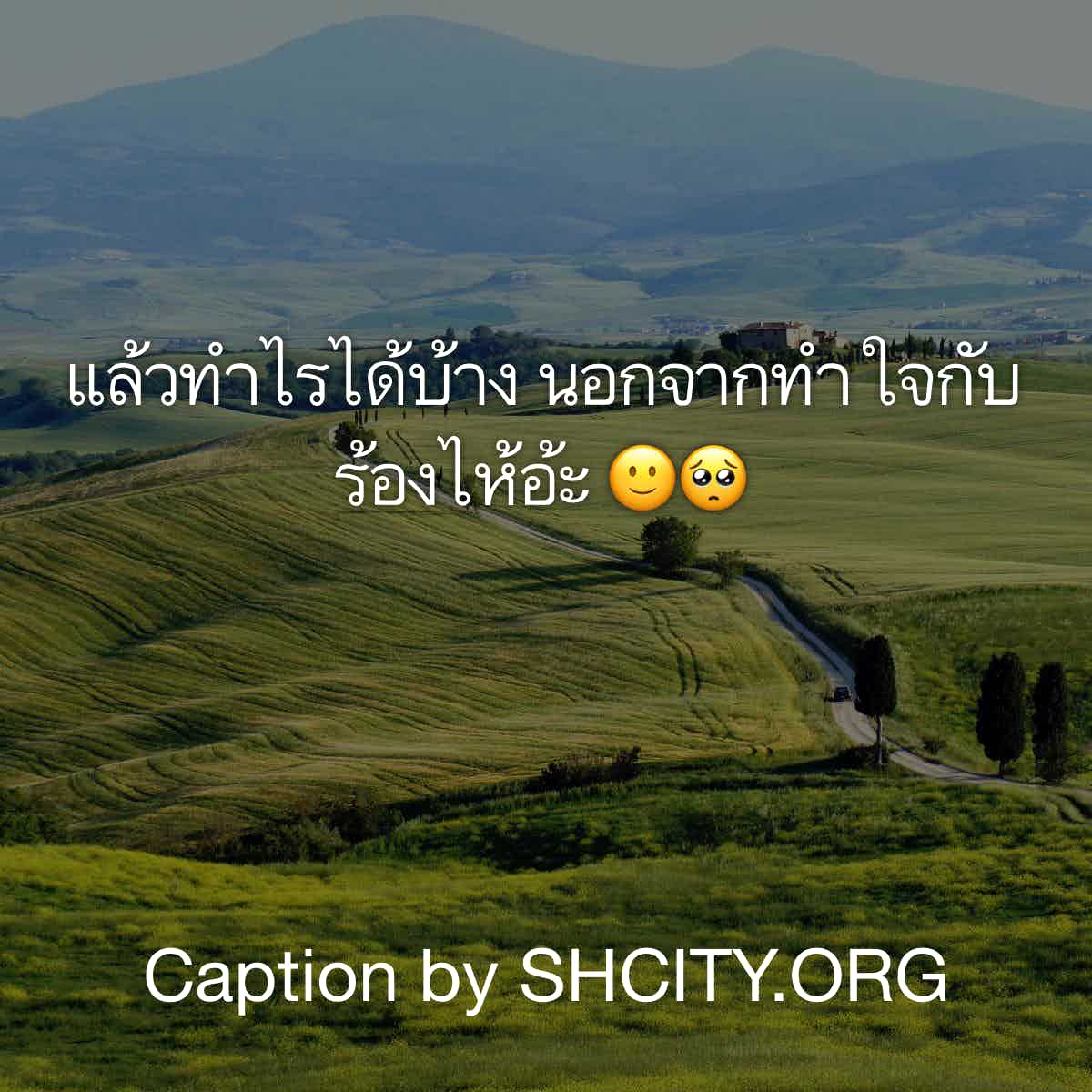 แคปชั่น