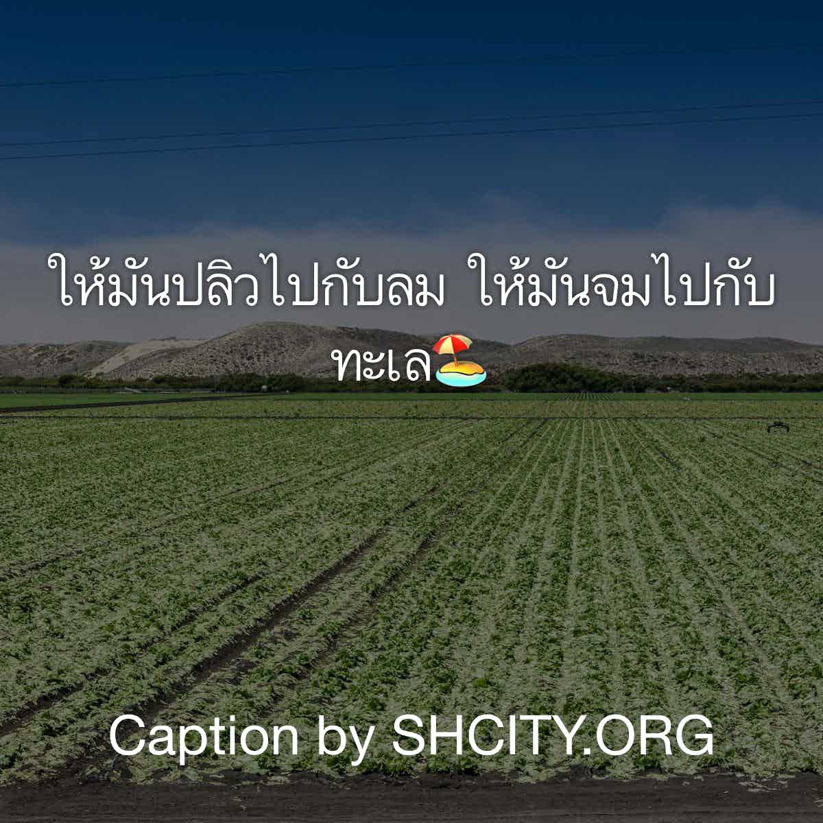 ประโยคนึงสะดุ้งทั้งไทม์ไลน์