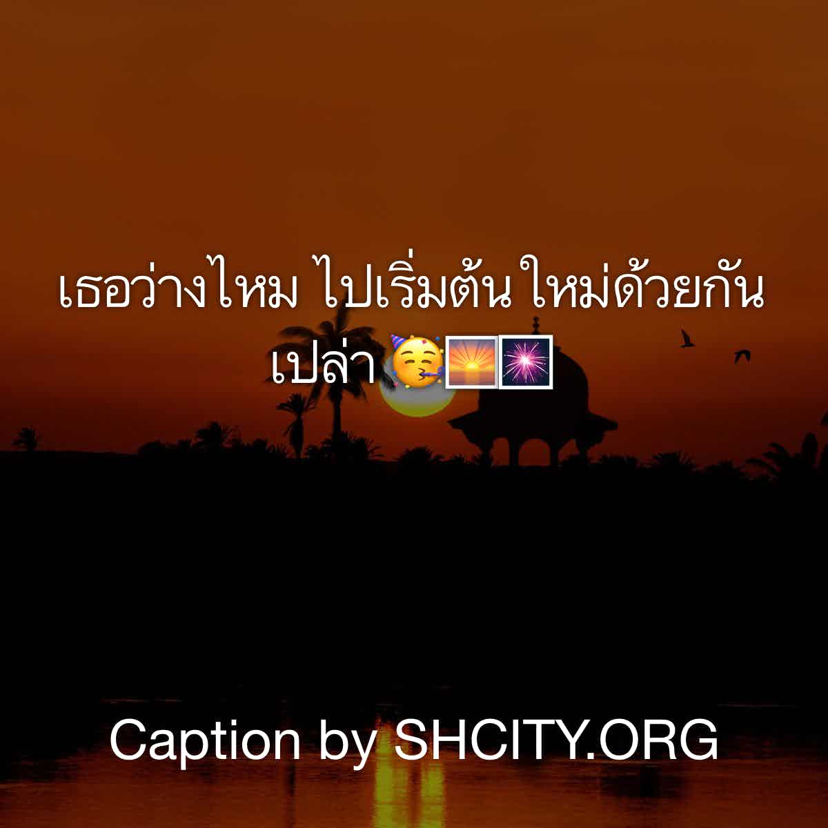 แคปชั่น2019