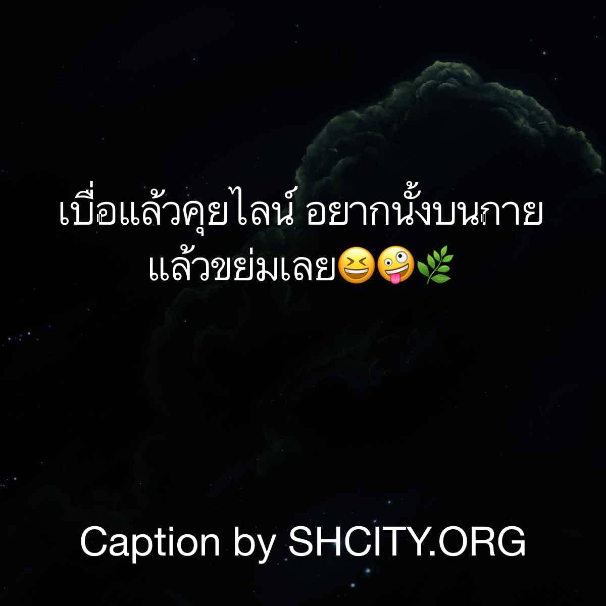 แคปชั่น2020