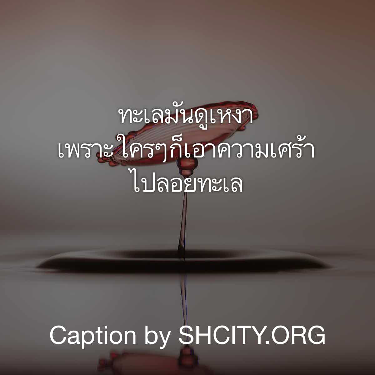 แคปชั่นทะเล