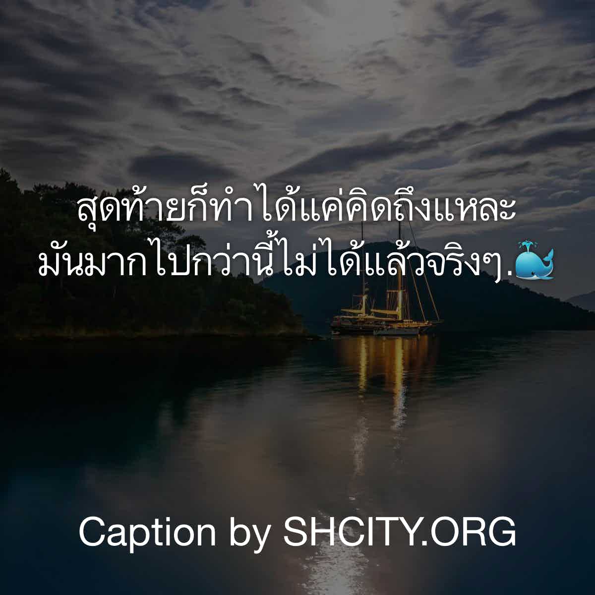 แคปชั่น2019