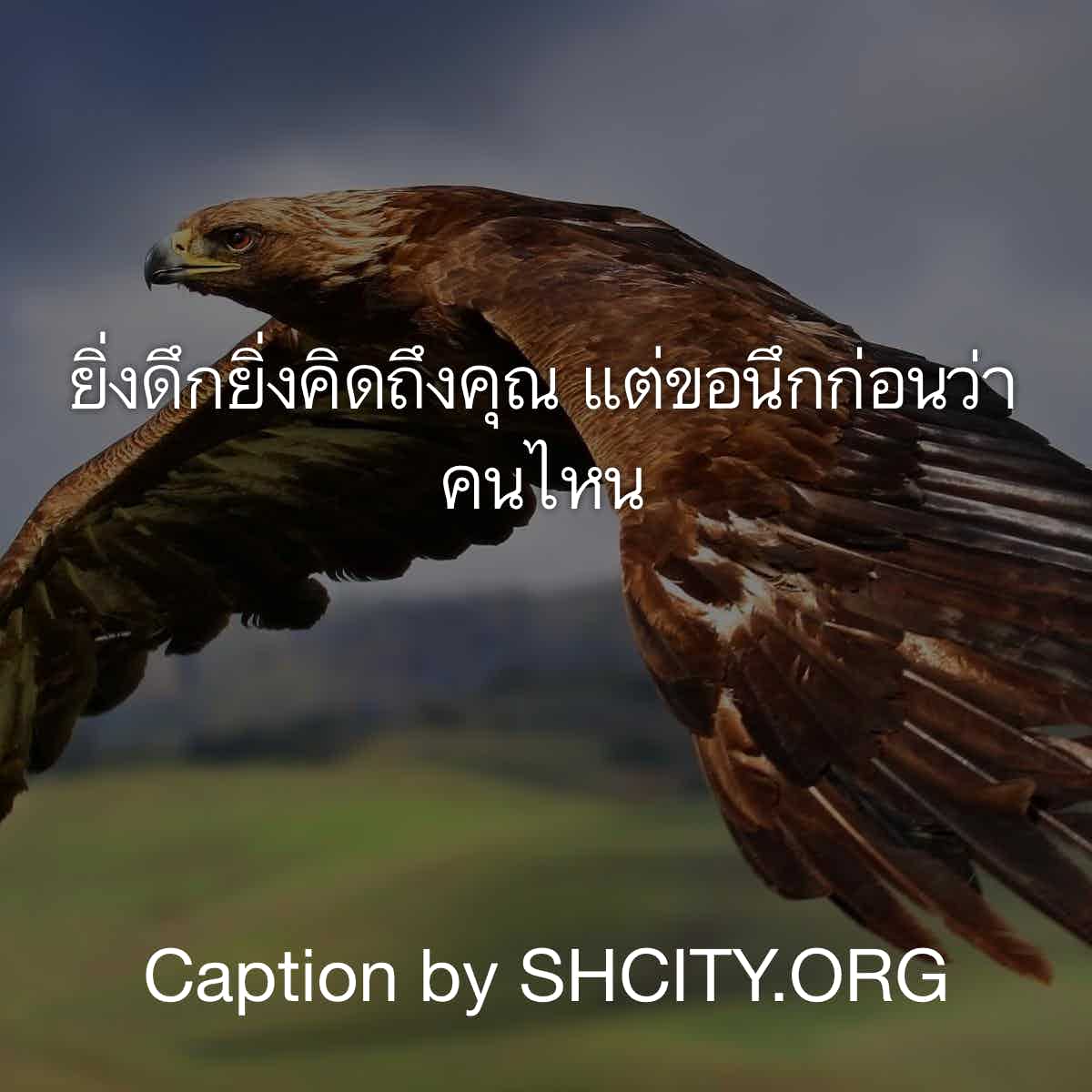 แคปชั่นเด็ด