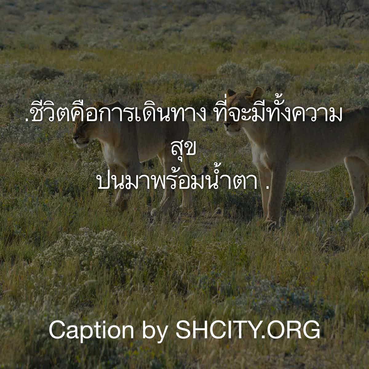แคปชั่นเสี่ยว