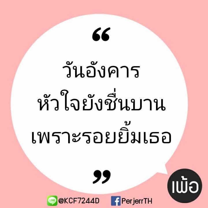 แคปชั่นโสด