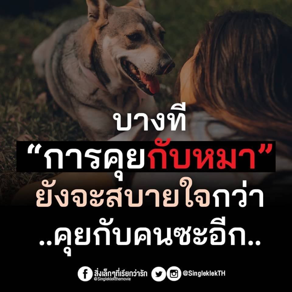 แคปชั่นทะเล