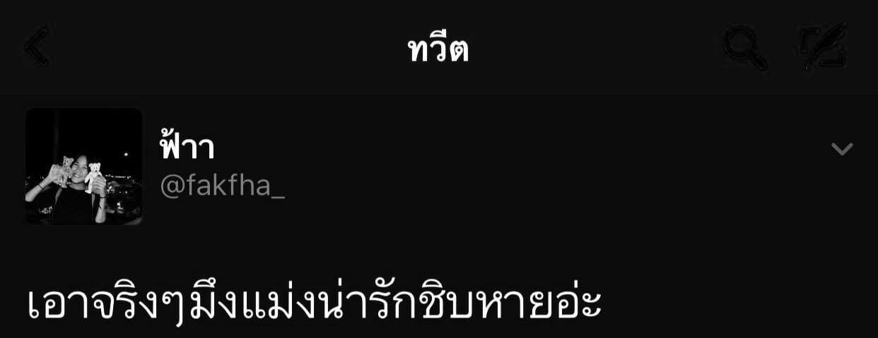 แคปชั่น2019