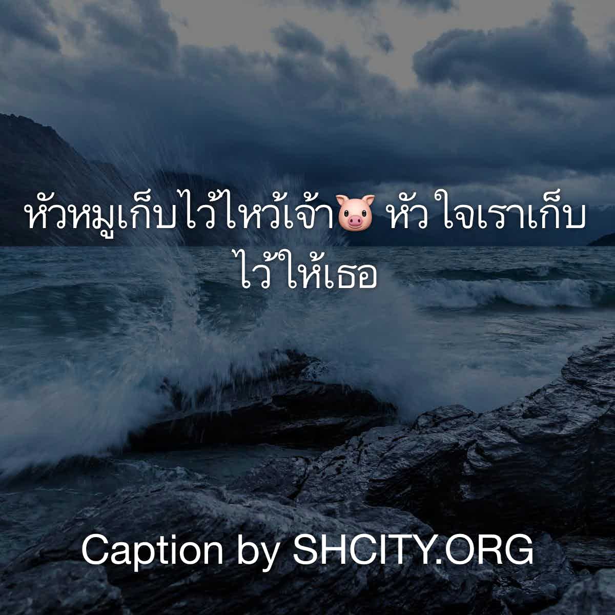 แคปชั่นอ่อย
