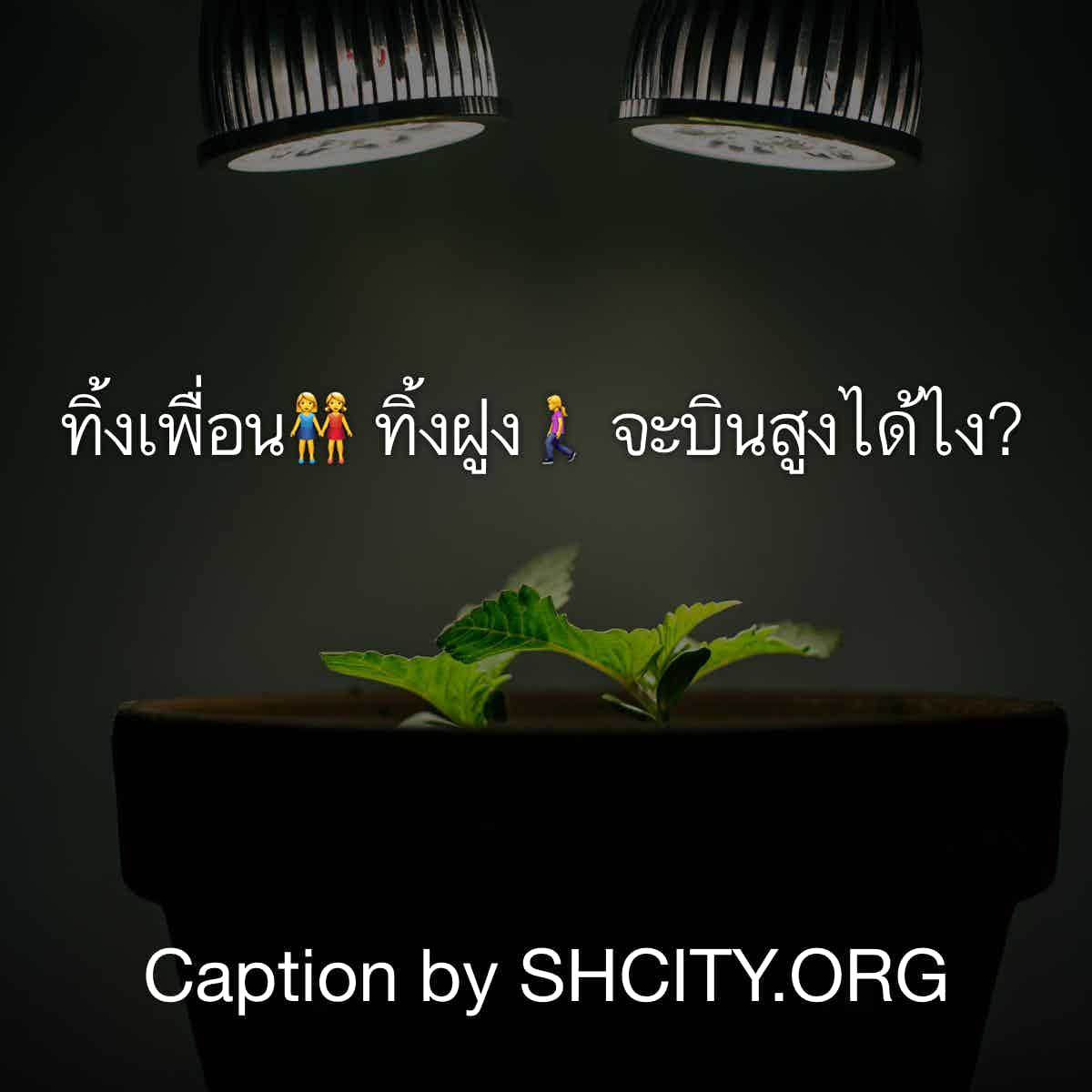 แคปชั่นอกหัก