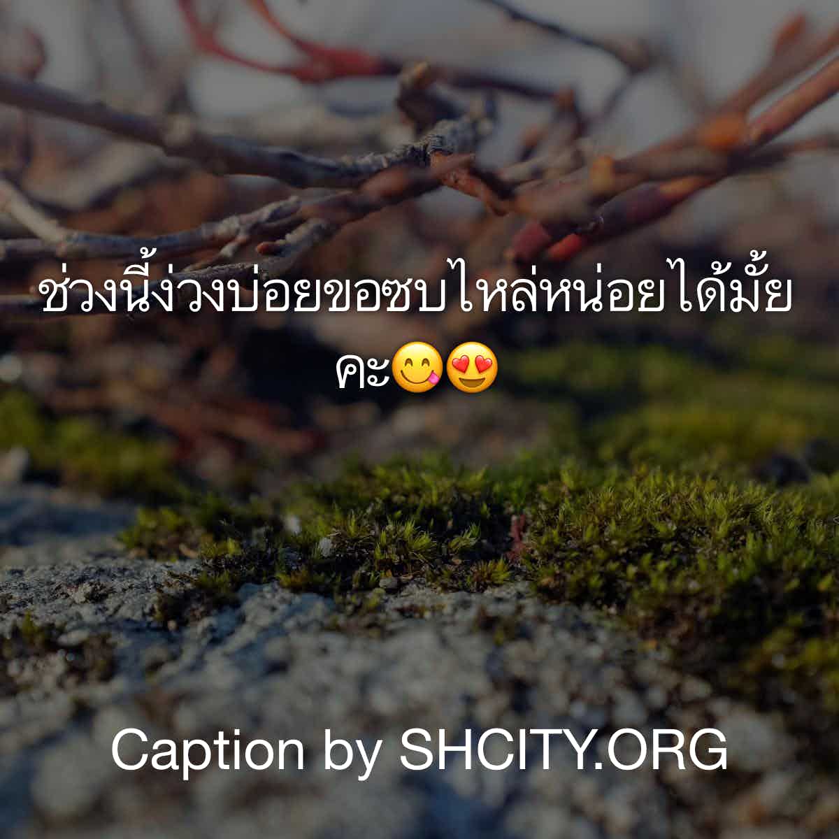 แคปชั่นเสี่ยว