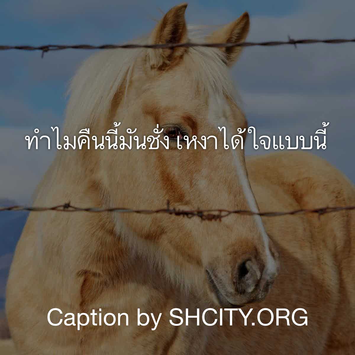 แคปชั่นภาษาอังกฤษ