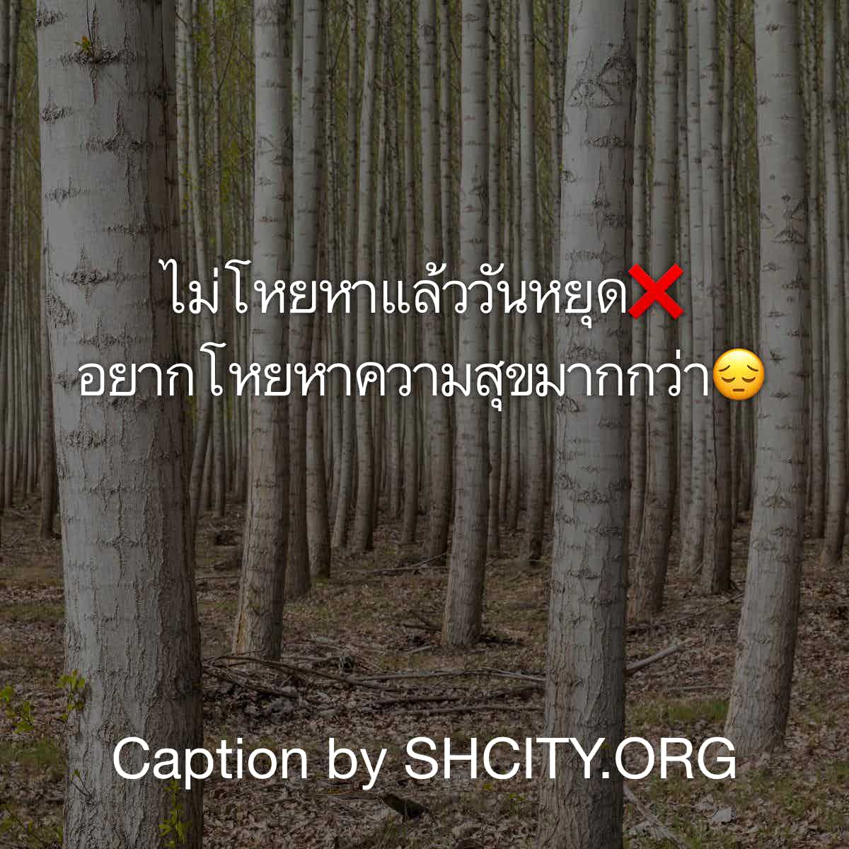 แคปชั่นกวนตีน