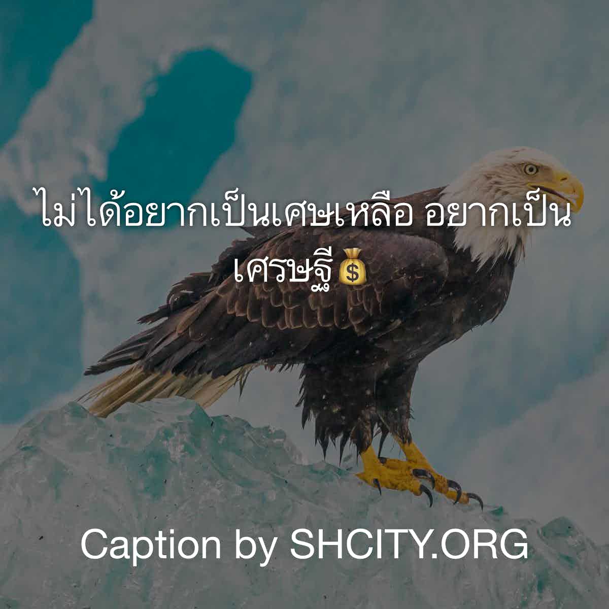 แคปชั่นปีใหม่