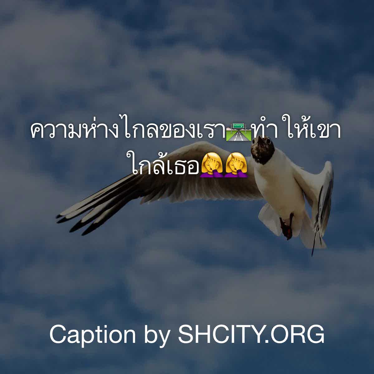 คำคมอกหัก