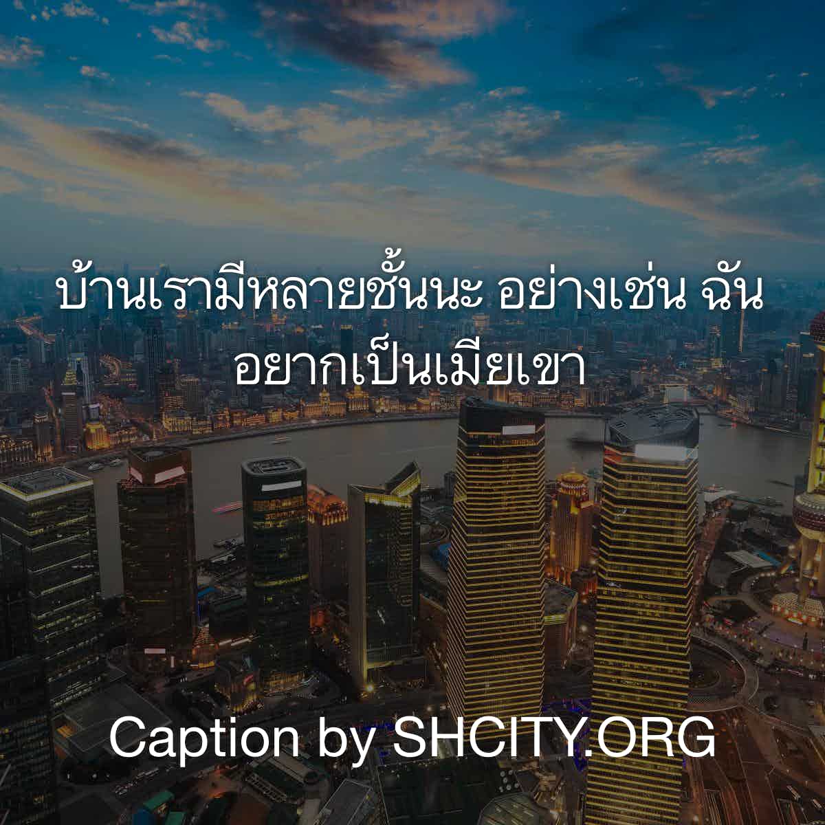 แคปชั่น2019