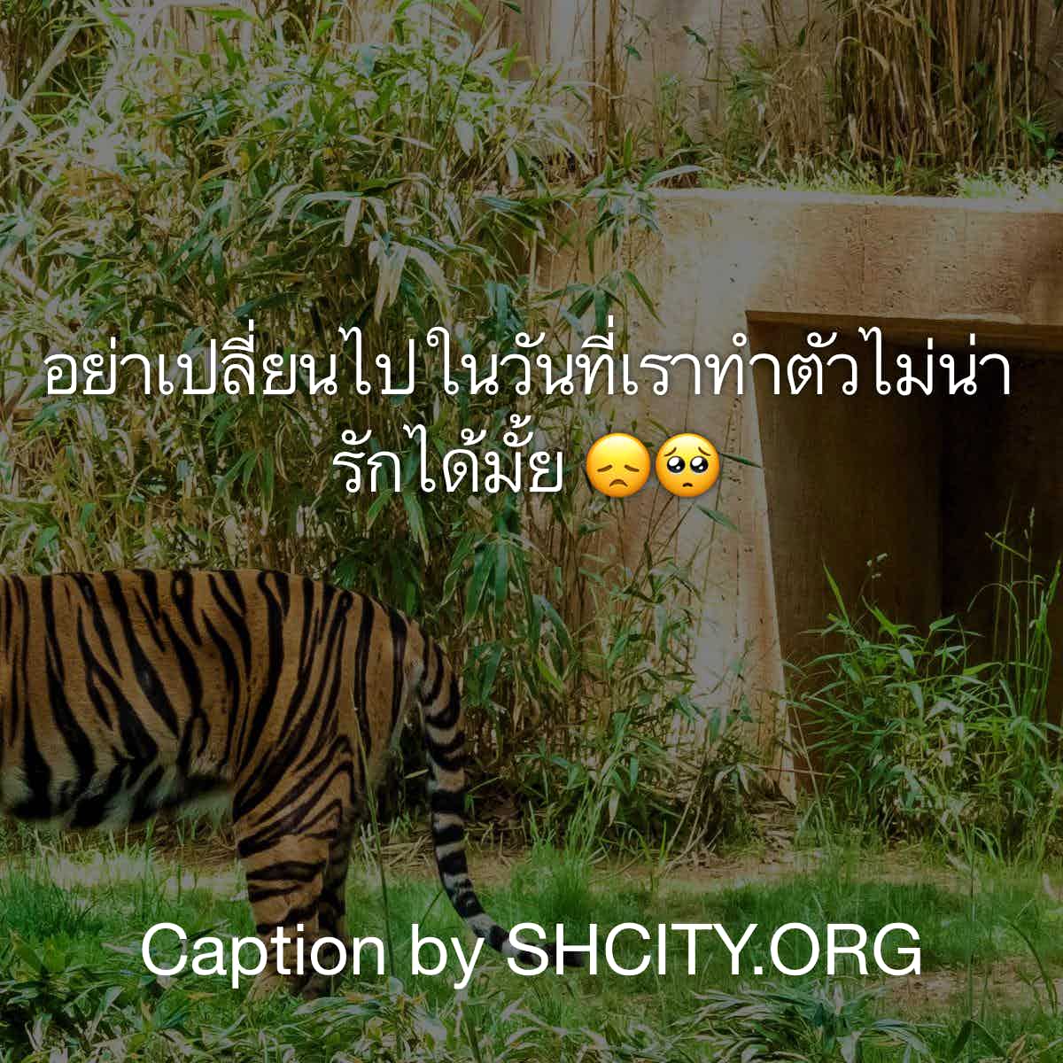 แคปชั่นน่ารัก