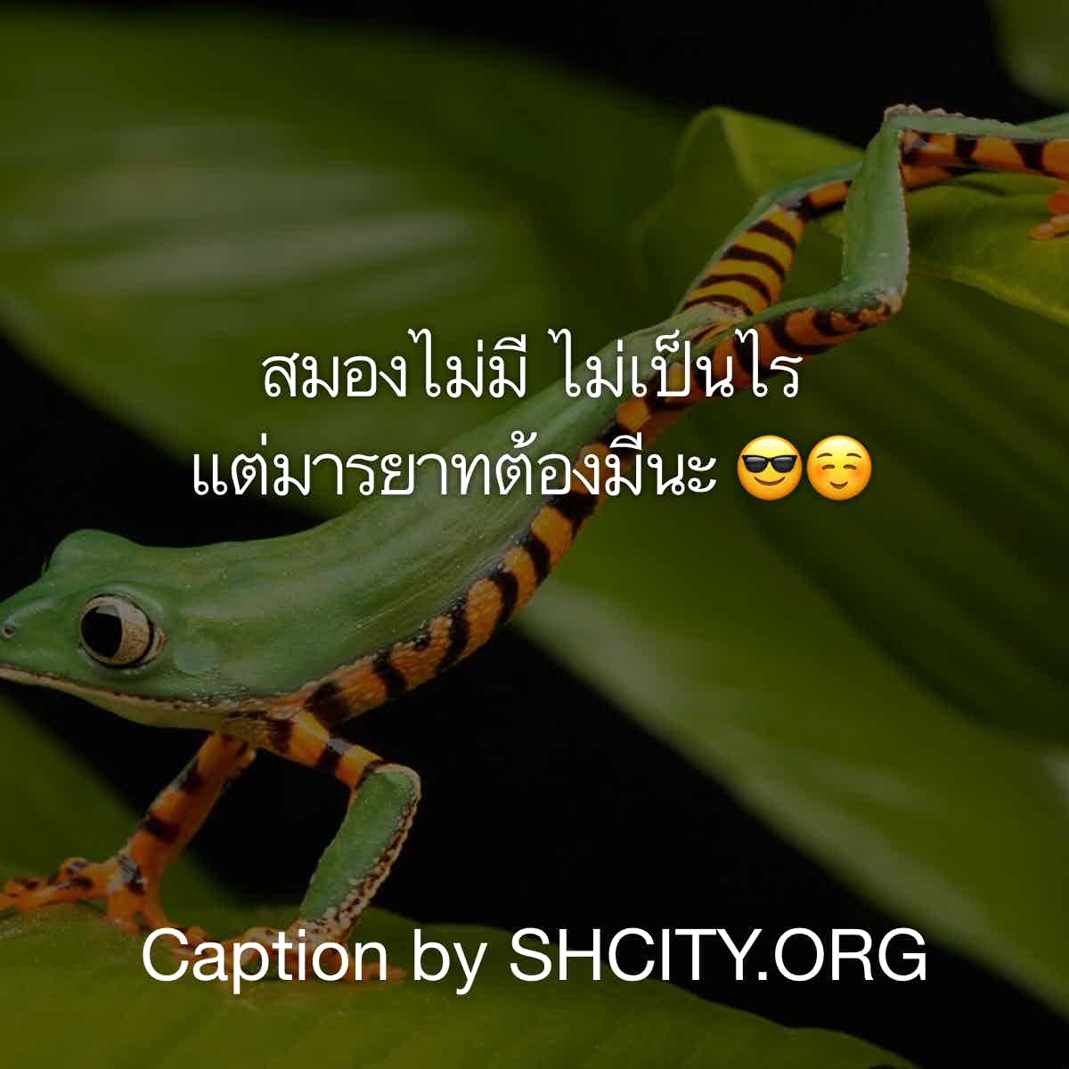 คำคมดีๆ