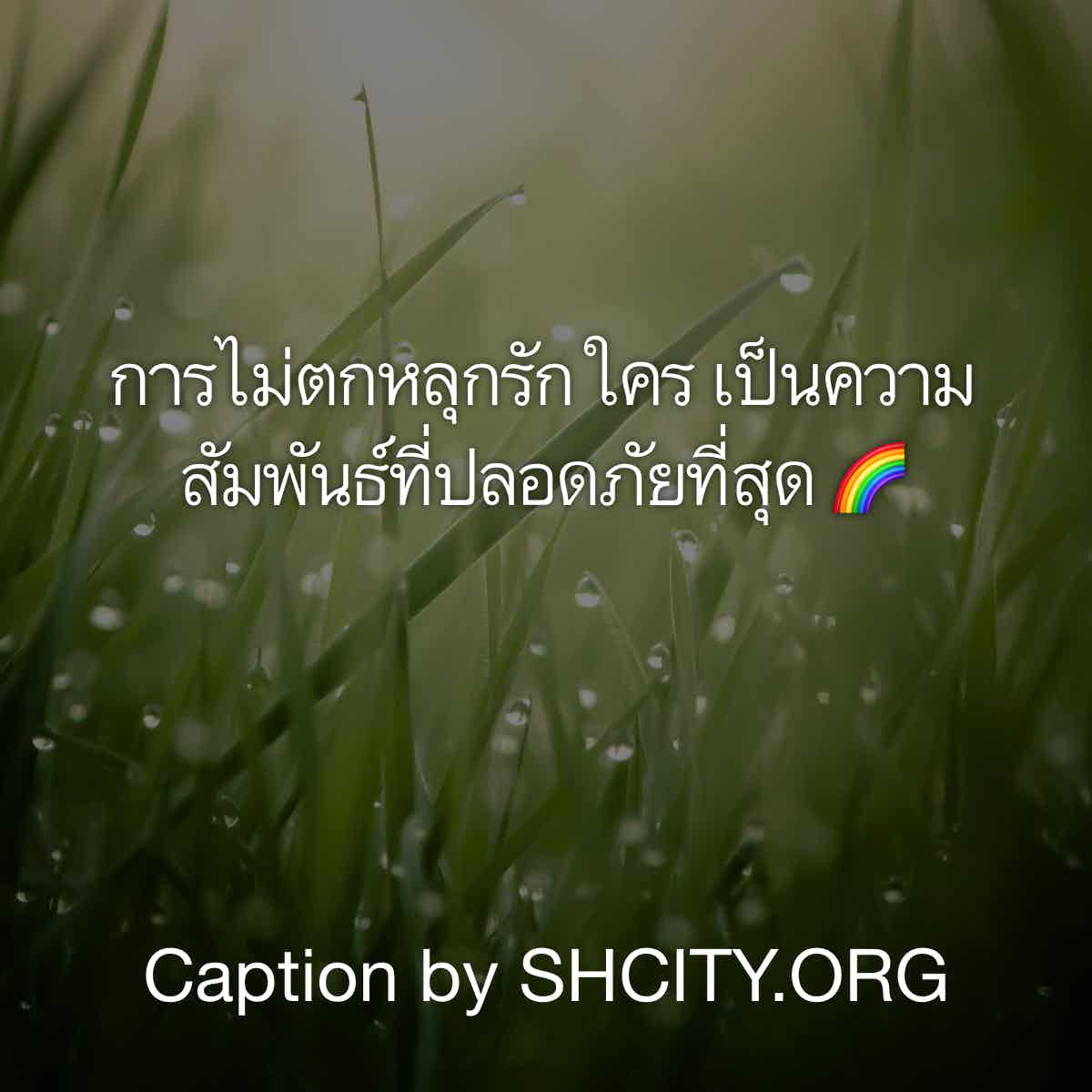 คำคมชีวิต