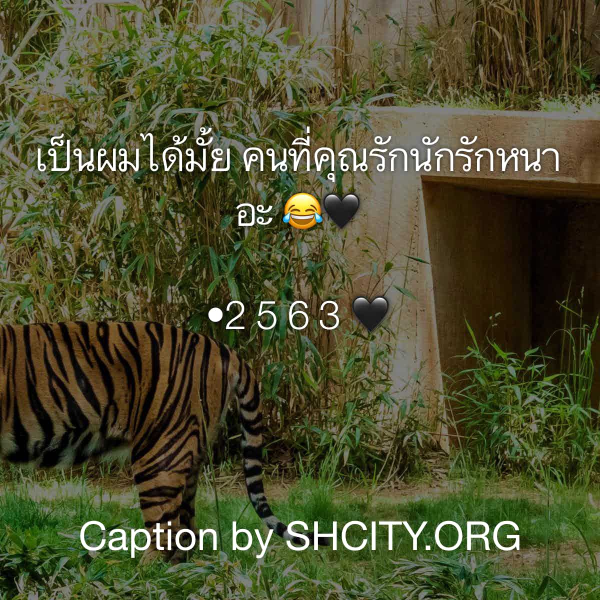 แคปชั่นอ่อย