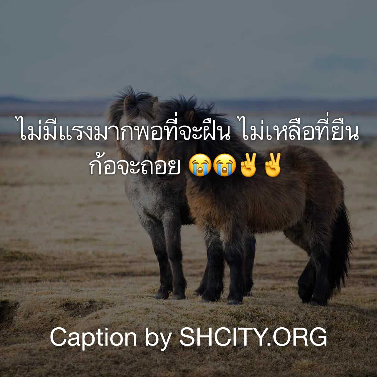 แคปชั่นเหงา