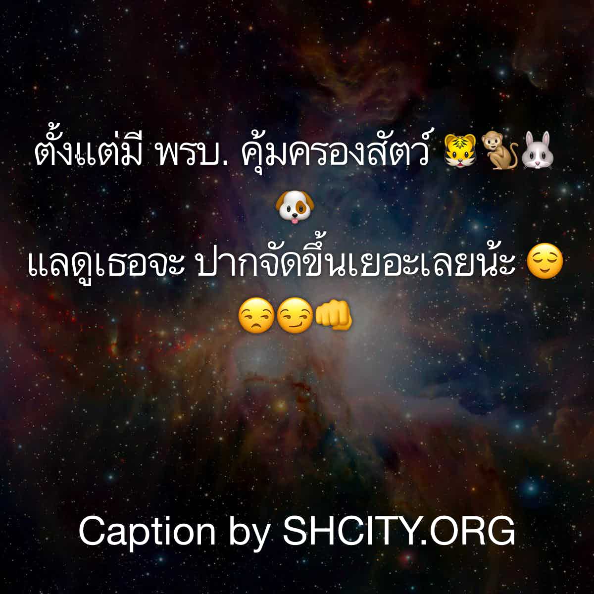 แคปชั่น