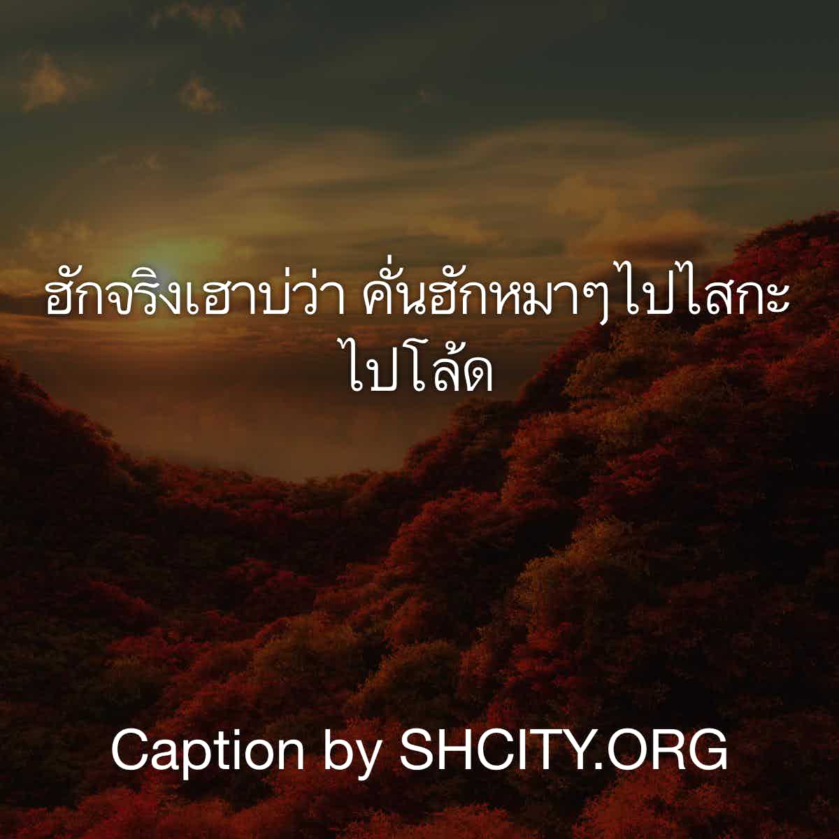 แคปชั่นกวนตีน