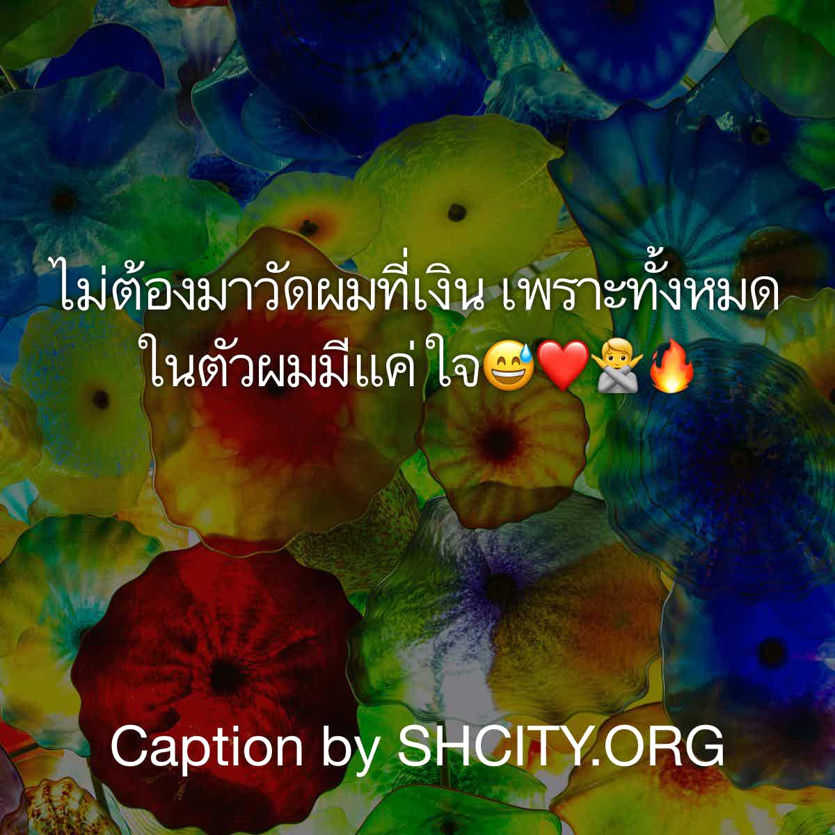 แคปชั่น