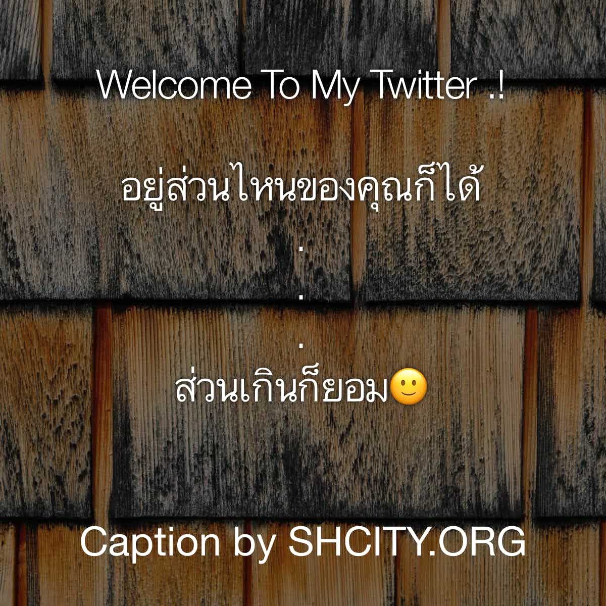 แคปชั่น2019