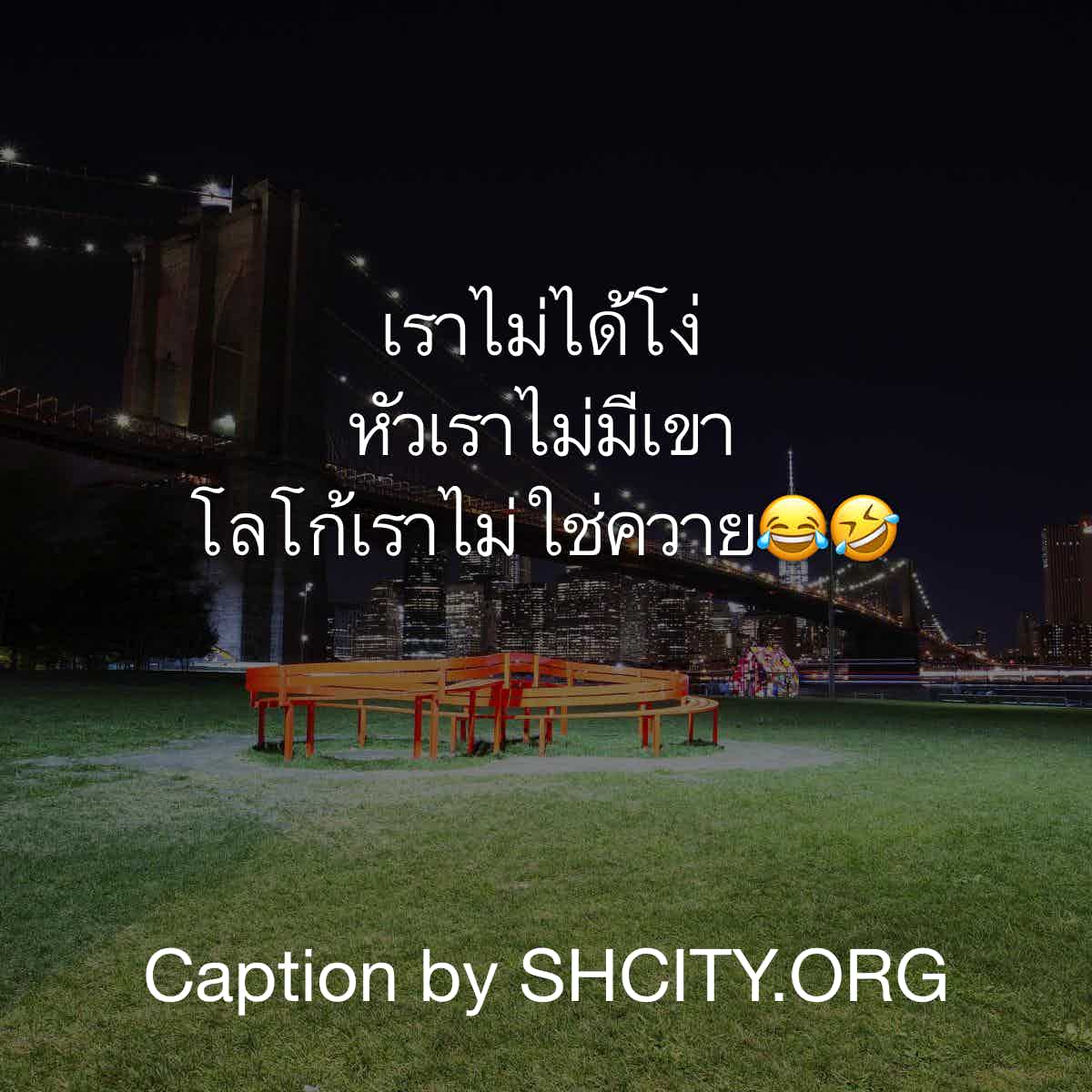 แคปชั่นโสด
