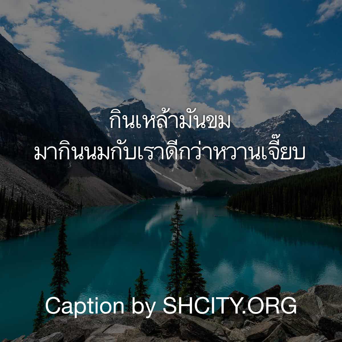แคปชั่นกวนตีน