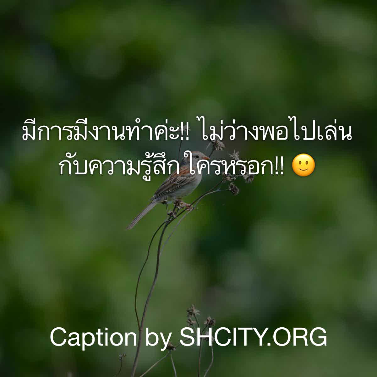 แคปชั่นคิดถึง