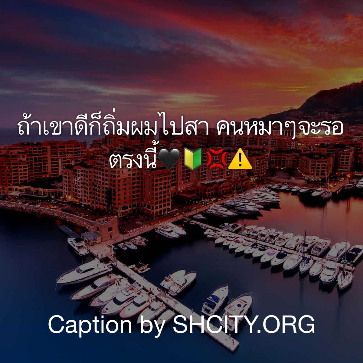 แคปชั่น