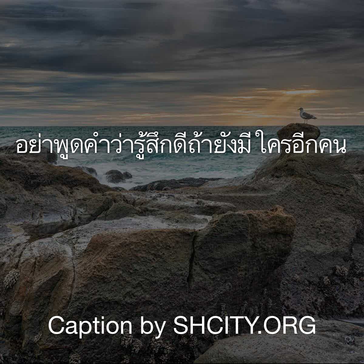 แคปชั่นโดนๆ
