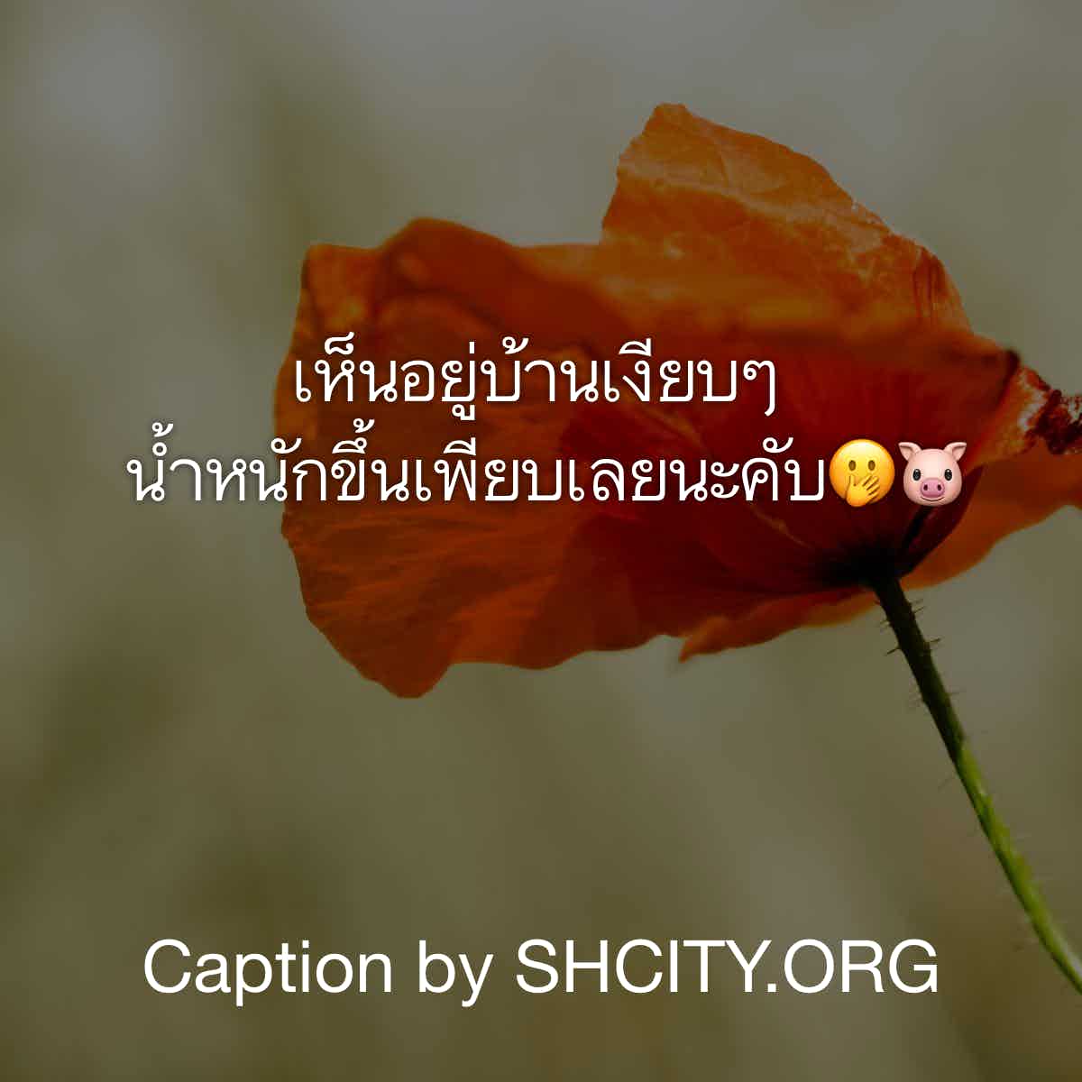 แคปชั่นเด็ด