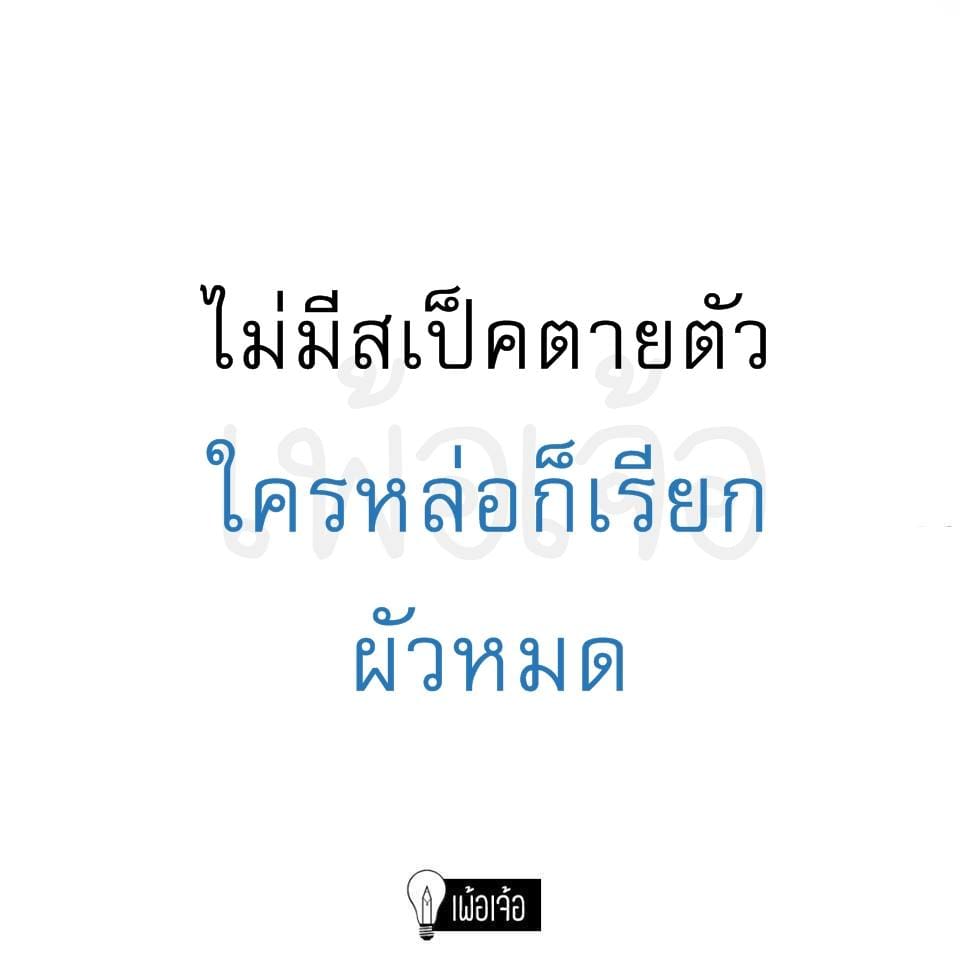 คําคมคนโสด