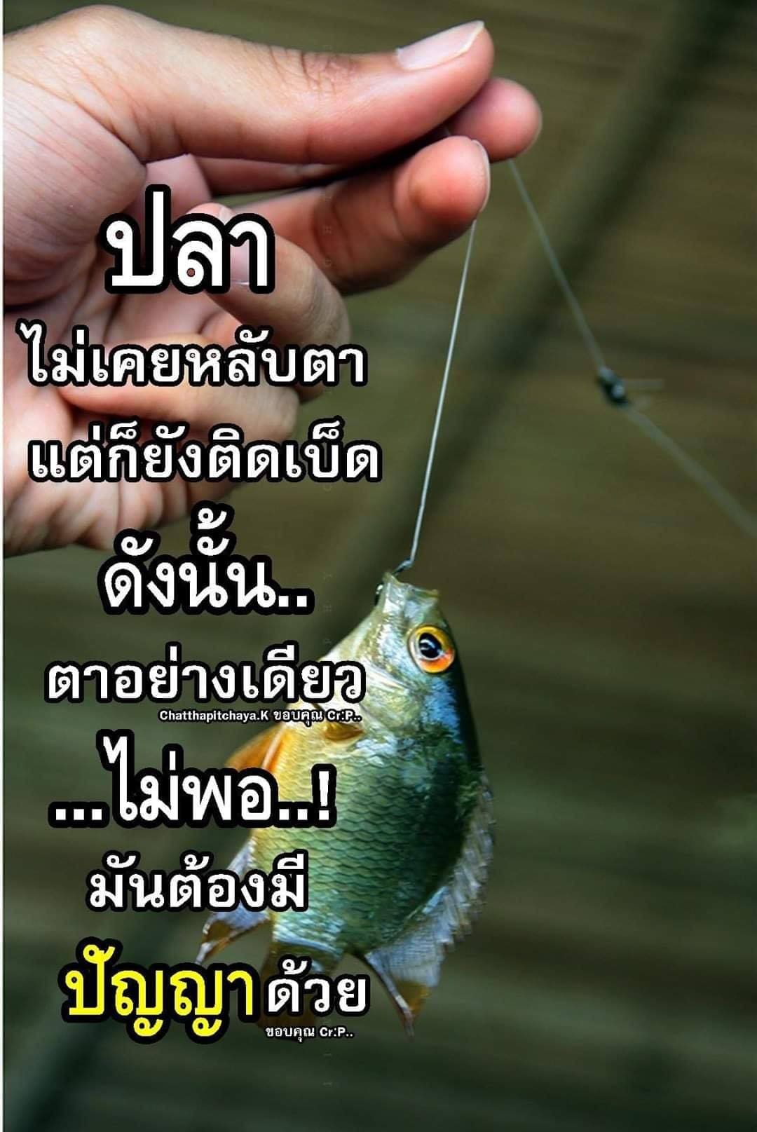 แคปชั่นเด็ดๆ