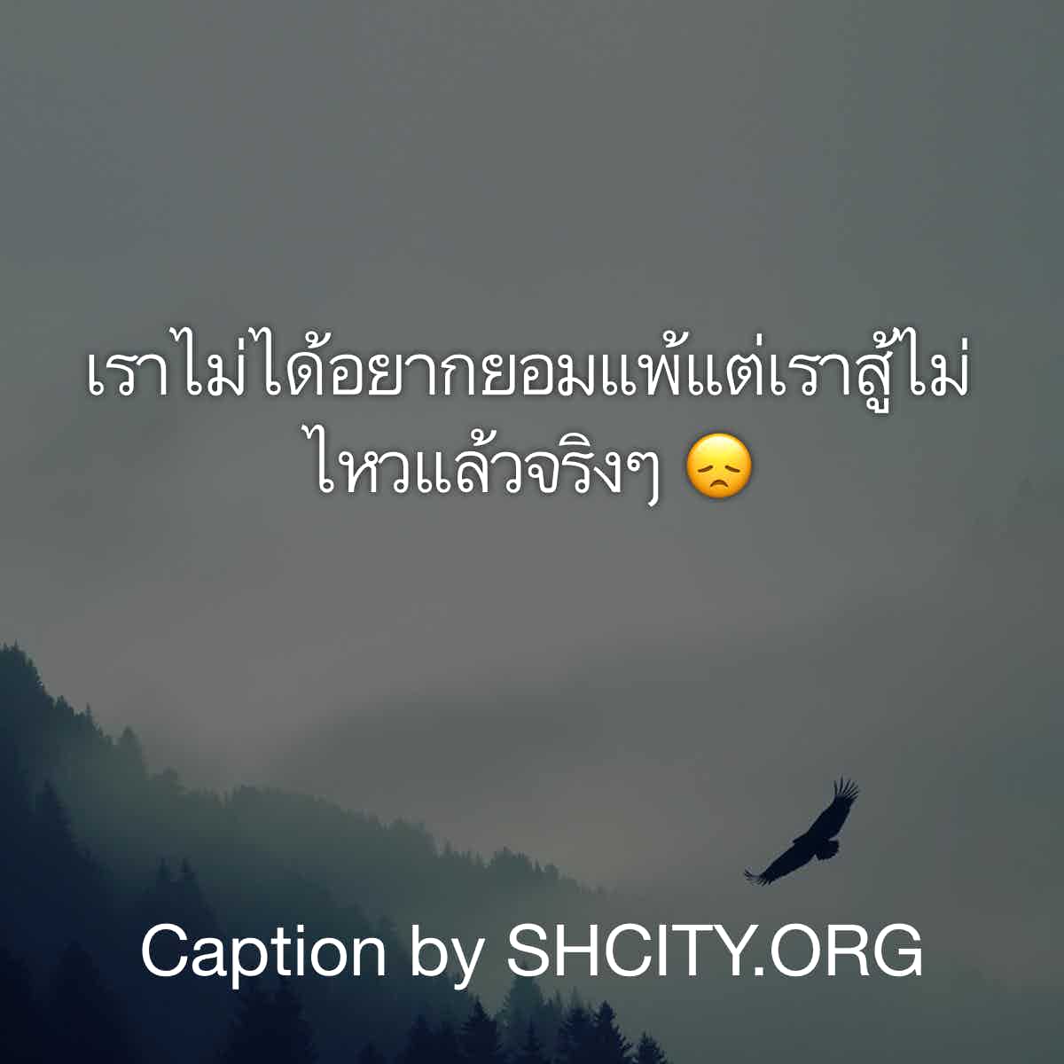 แคปชั่นโดนๆ