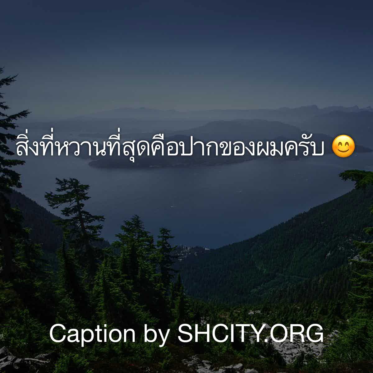 แคปชั่น