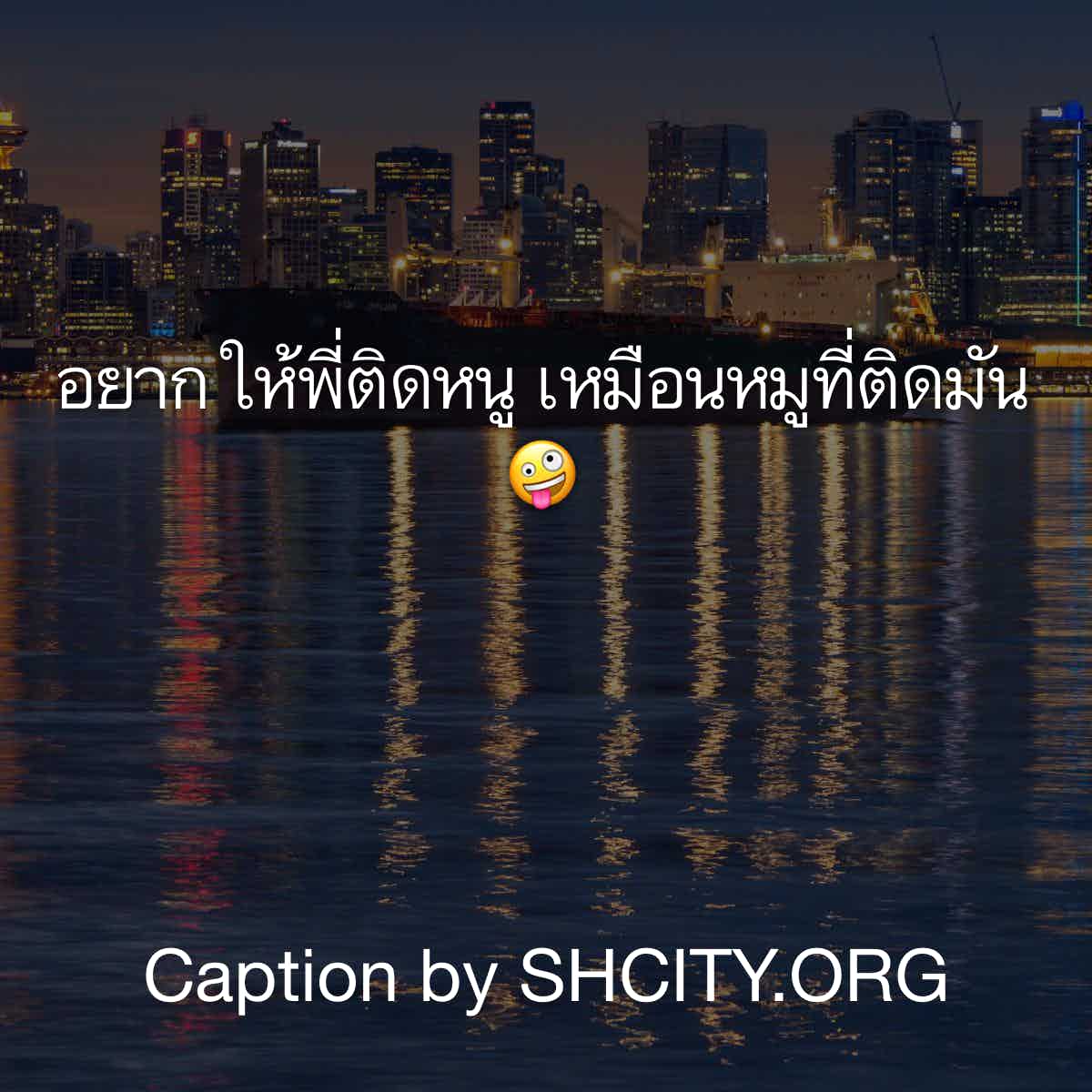 แคปชั่นกวนตีน