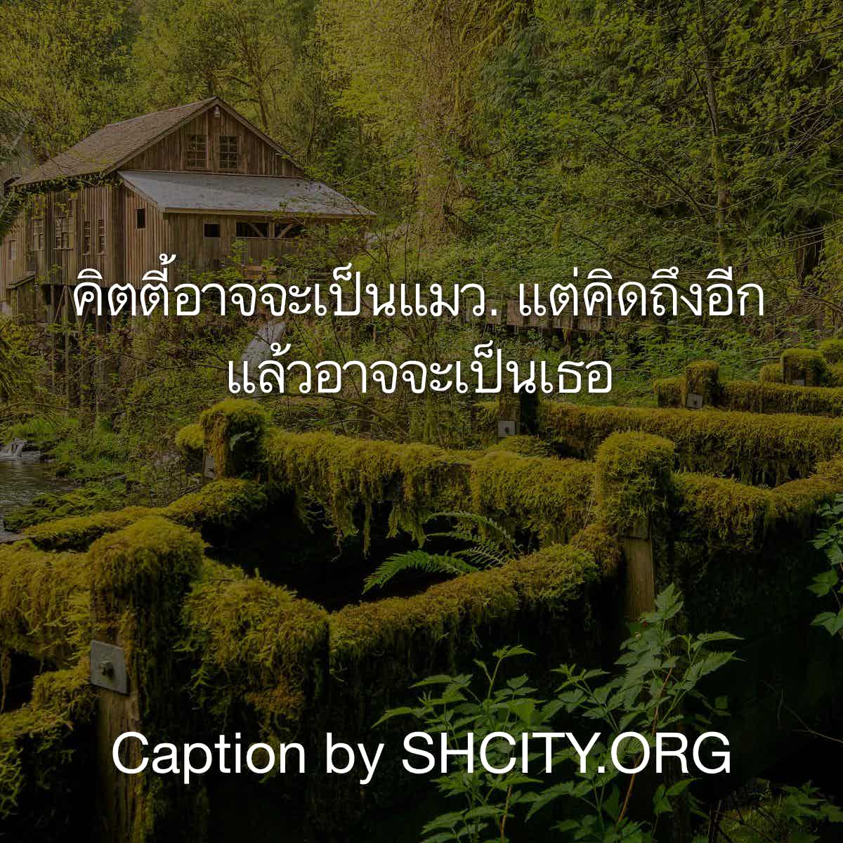 แคปชั่นจังไร