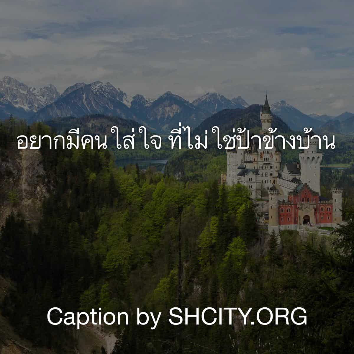 แคปชั่นกวนตีน