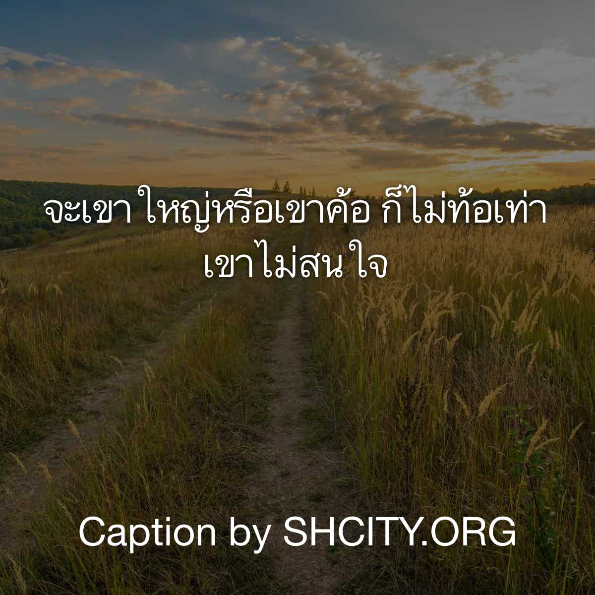 แคปชั่นกวนตีน