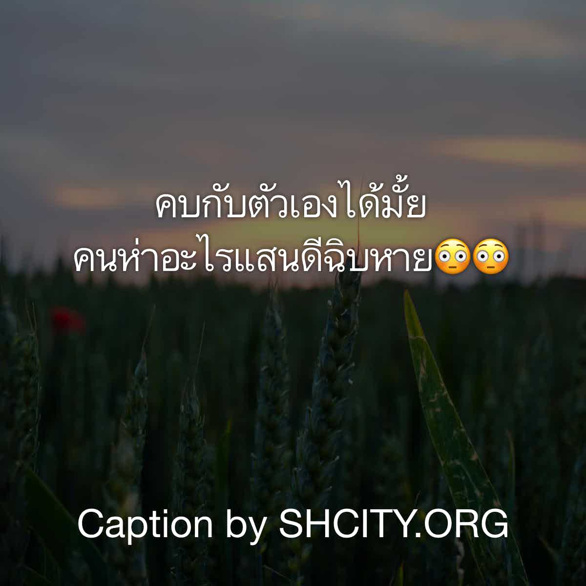 แคปชั่นเด็ด