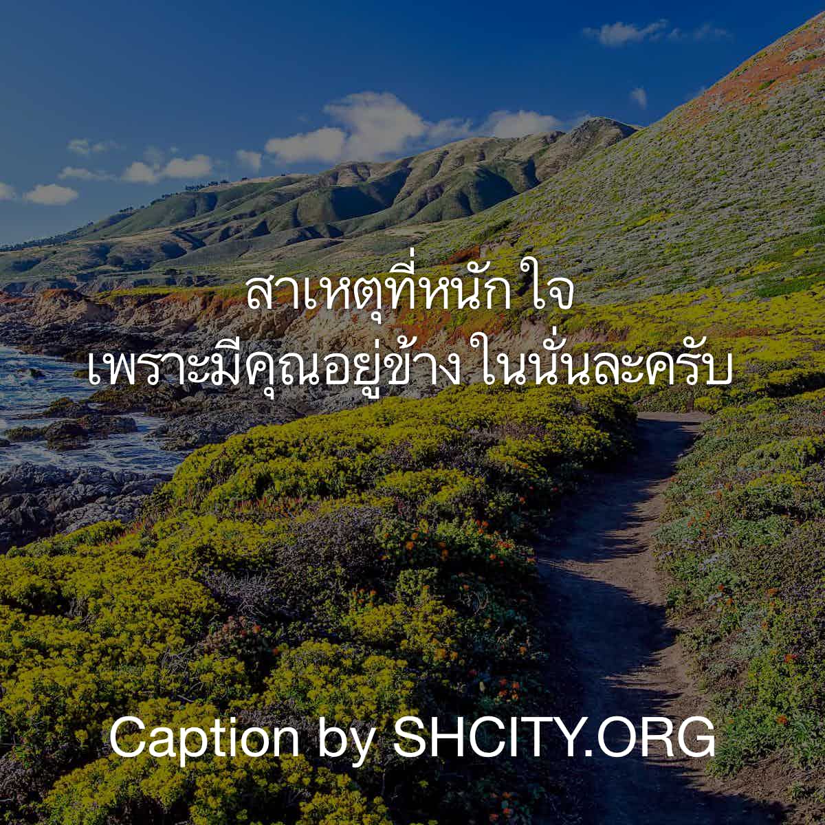 แคปชั่นฮาๆ
