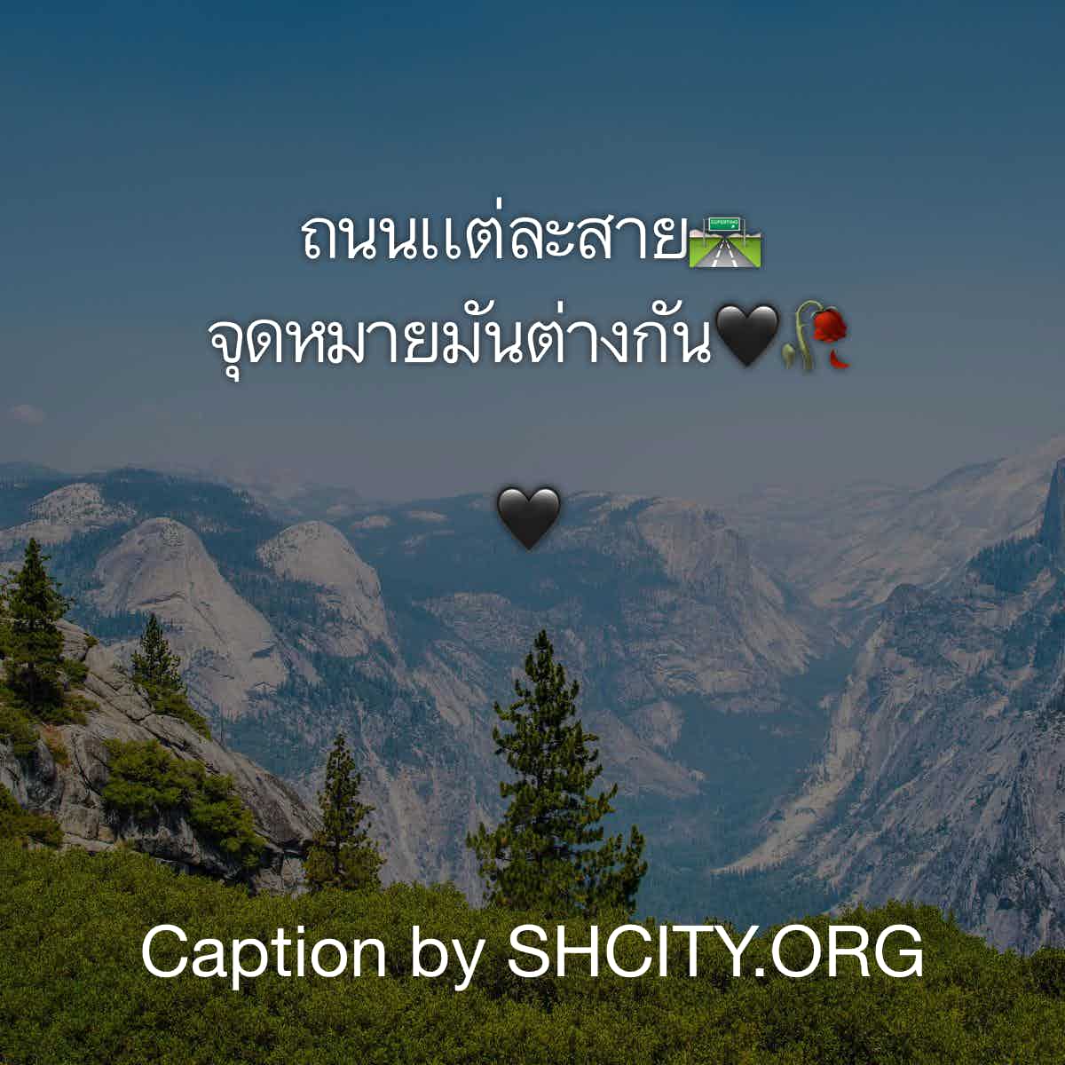 แคปชั่นคนโสด