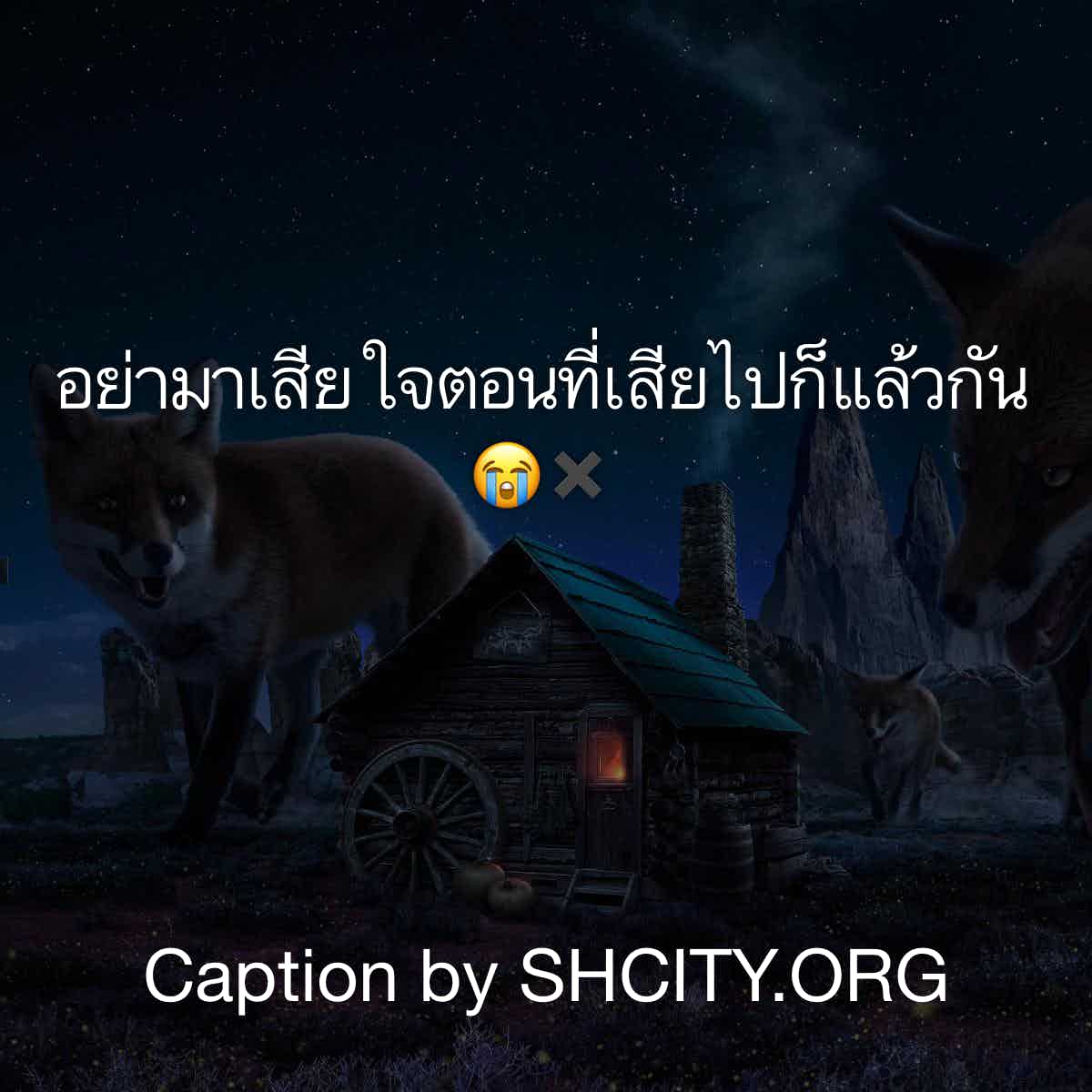 แคปชั่น2020