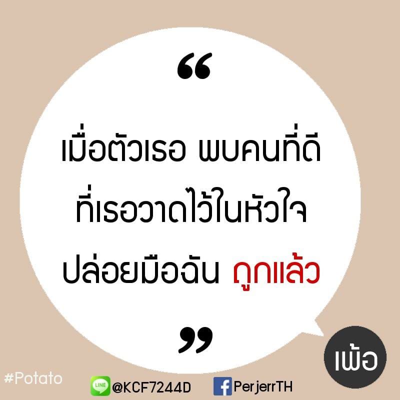 แคปชั่นโสด